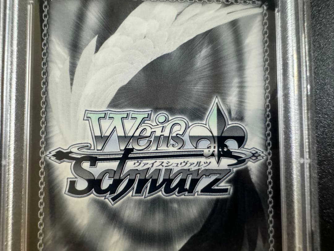 ヴァイスシュヴァルツ お家にお邪魔します…！　猫又おかゆ