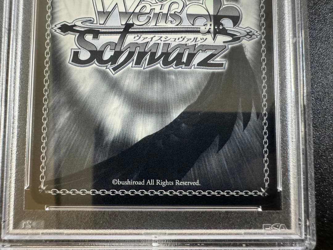 ヴァイスシュヴァルツ お家にお邪魔します…！　猫又おかゆ