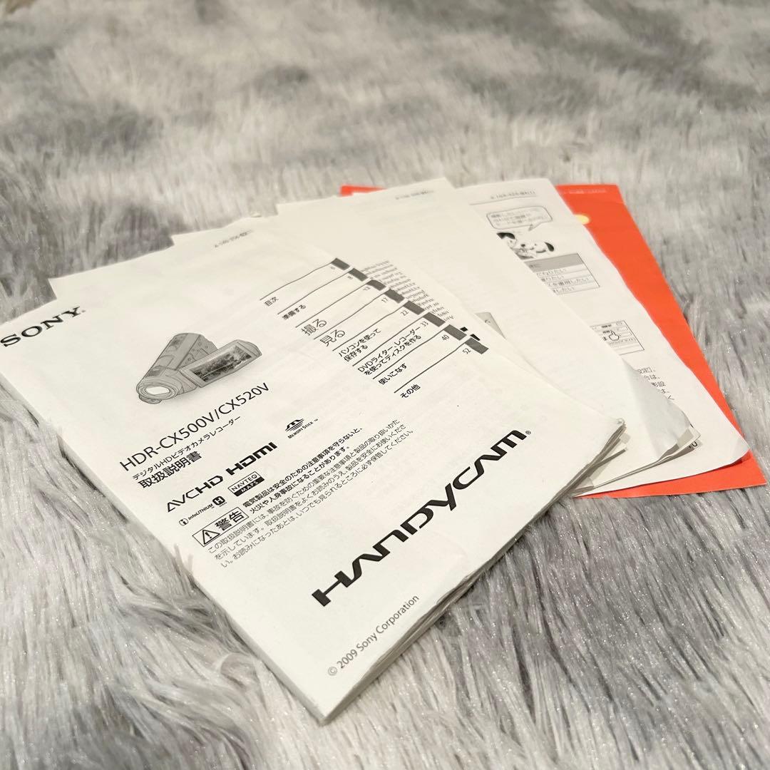 【動作確認済】SONY ソニー Handycam HDR-CX500V