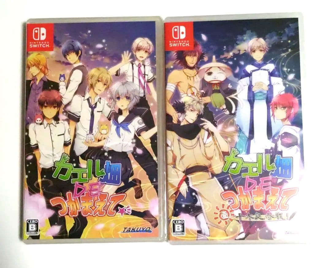 新品◆カエル畑DEつかまえて　本編　FD　2本セット　Switch　夏　千木良