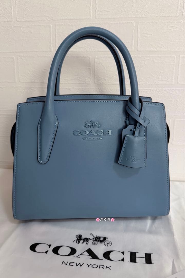 ✨未使用品✨コーチ アンドレア キャリーオール 2way ショルダーバッグ