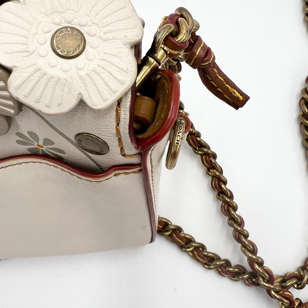 激レア COACH コーチ 2way 3way ディンキー ティーローズ バッグ