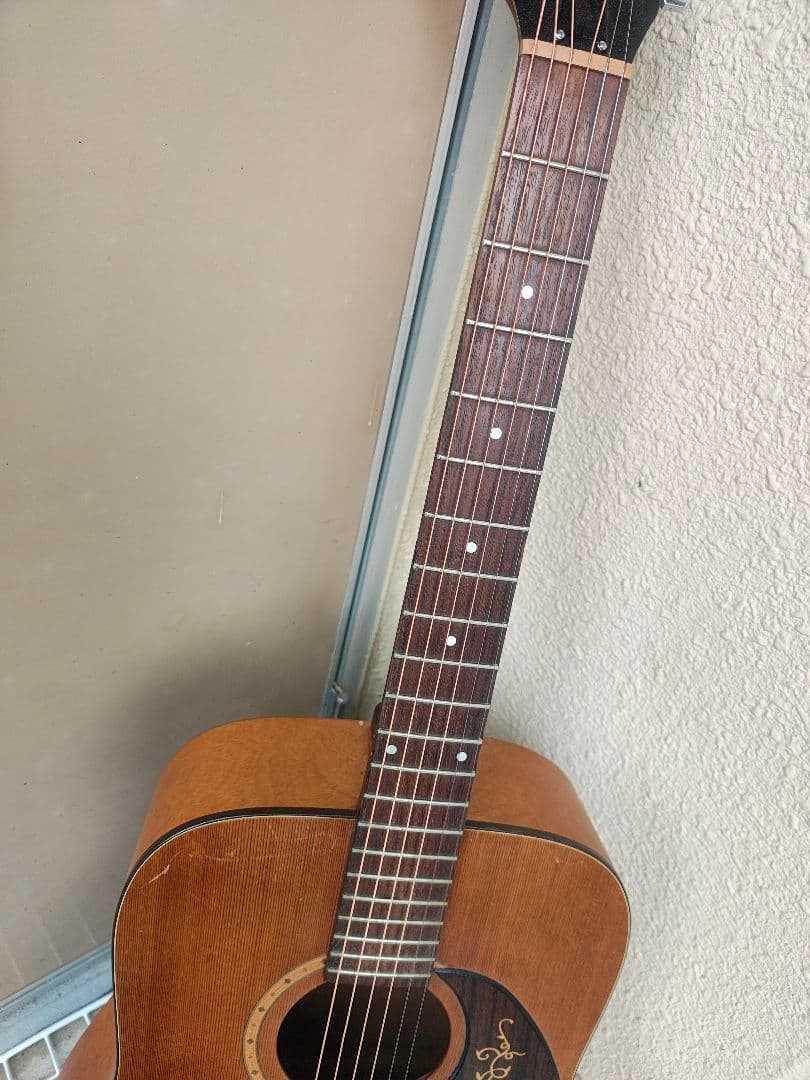 Simon & Patrick / S&P 6 Cedar トップ 単板