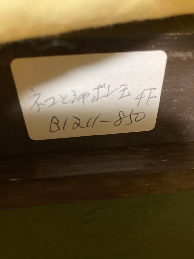 ネコとシャボン玉　市川元晴