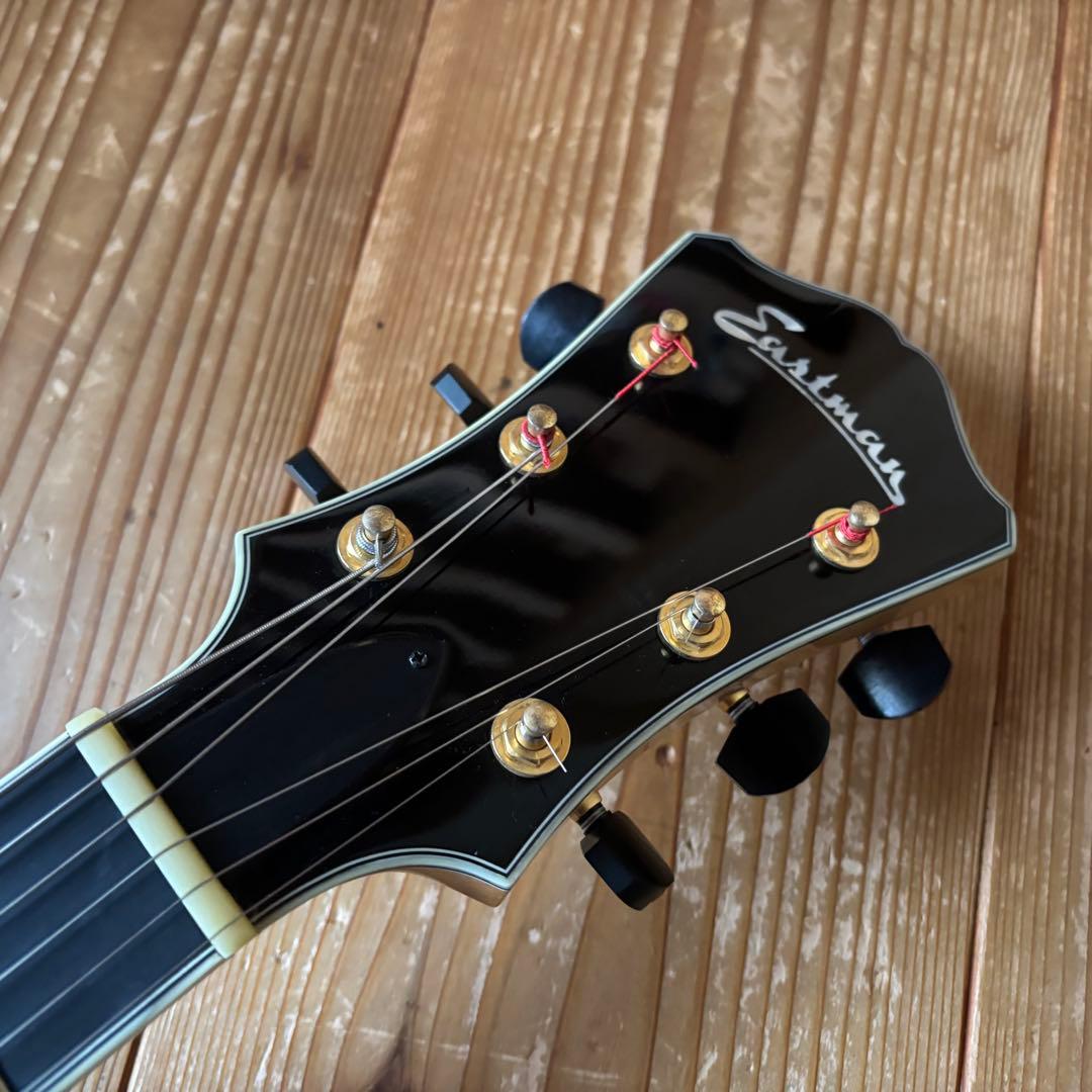 2019年製 Eastman AR810CE