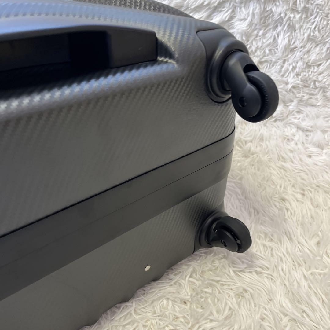 【購入者確定】PROTEX　プロッテクス　キャリーケース　4輪　特大　カーボン調