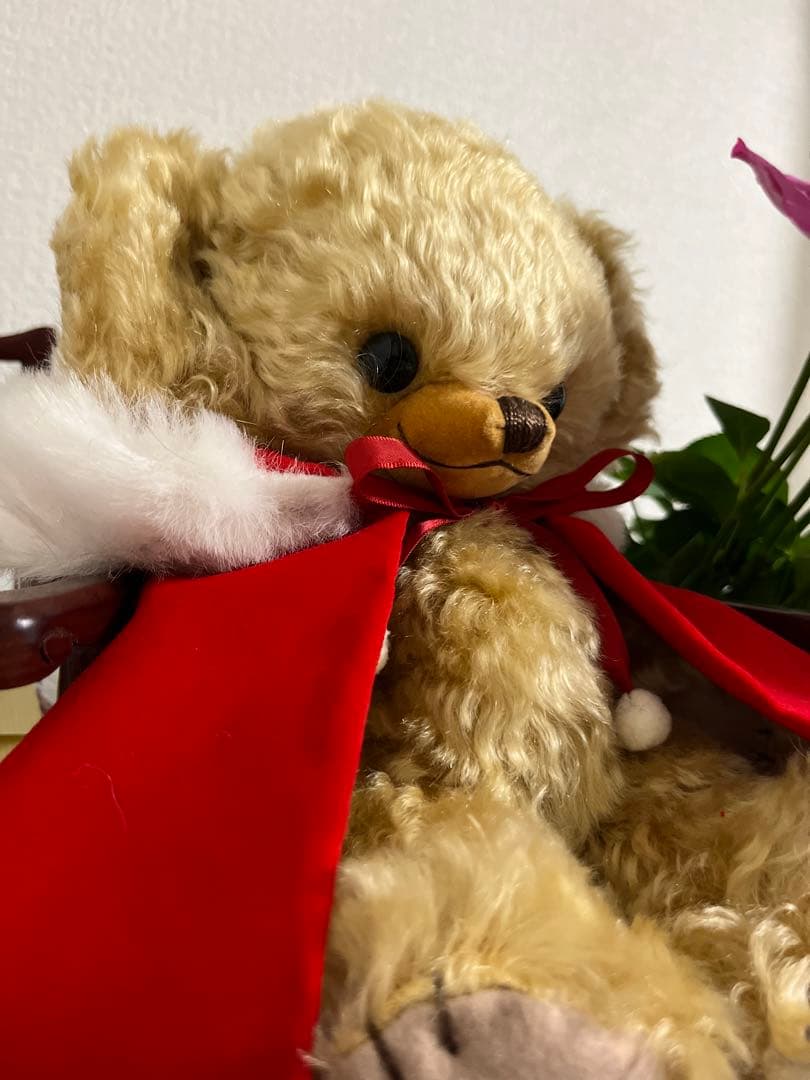 メリーソート❤︎ゴールデンチーキーライディングフード12❤︎サイン入り