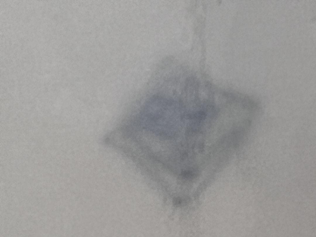 金彩色絵花草紋輪花小皿　伊万里焼　明治　5枚組