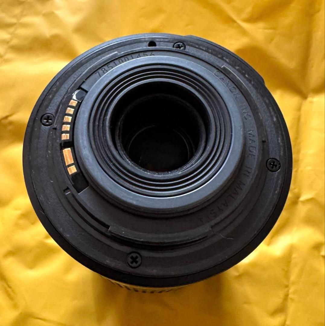 Canon EF-S55-250mm f/4-5.6 IS ズームレンズ