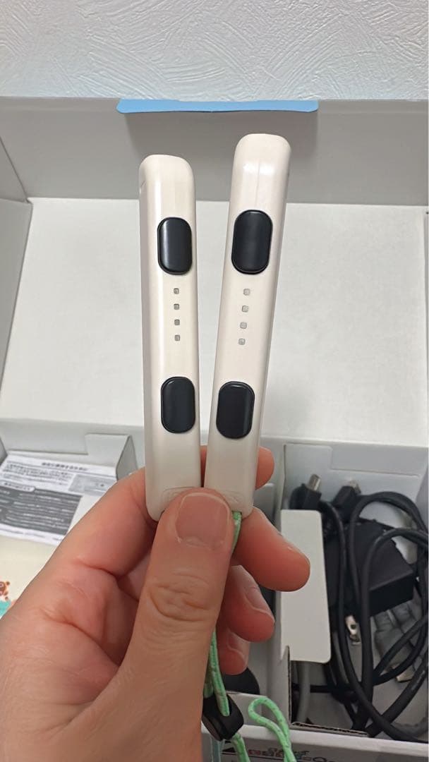 Nintendo Switch 本体　あつまれどうぶつの森