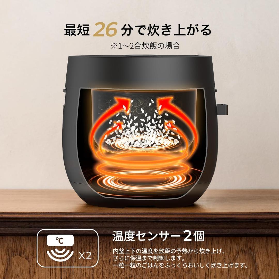 エペイオス(Epeios) 炊飯器 3合 4合 低温調理 350W 2L