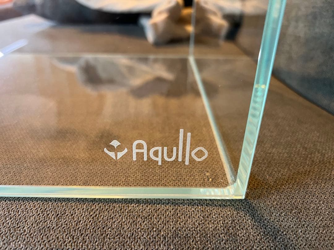 熱帯魚　ガラス水槽セット