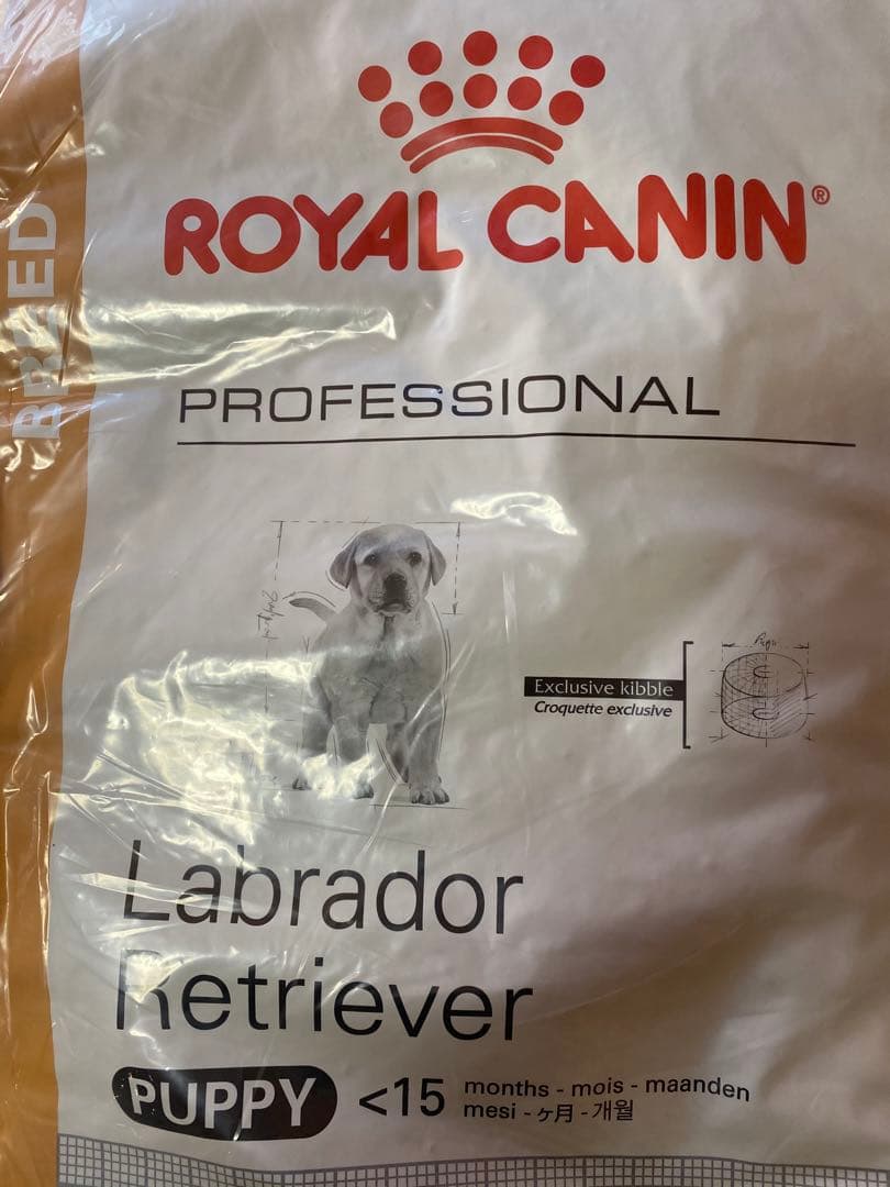 【B品】ロイヤルカナン ラブラドールレトリバー子犬用　１６キロ