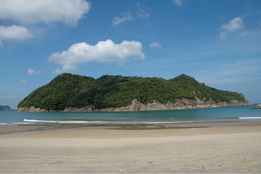 映画GRANBLUEのジャックマイヨールの希少サイン　横向きイルカ査定額60万円