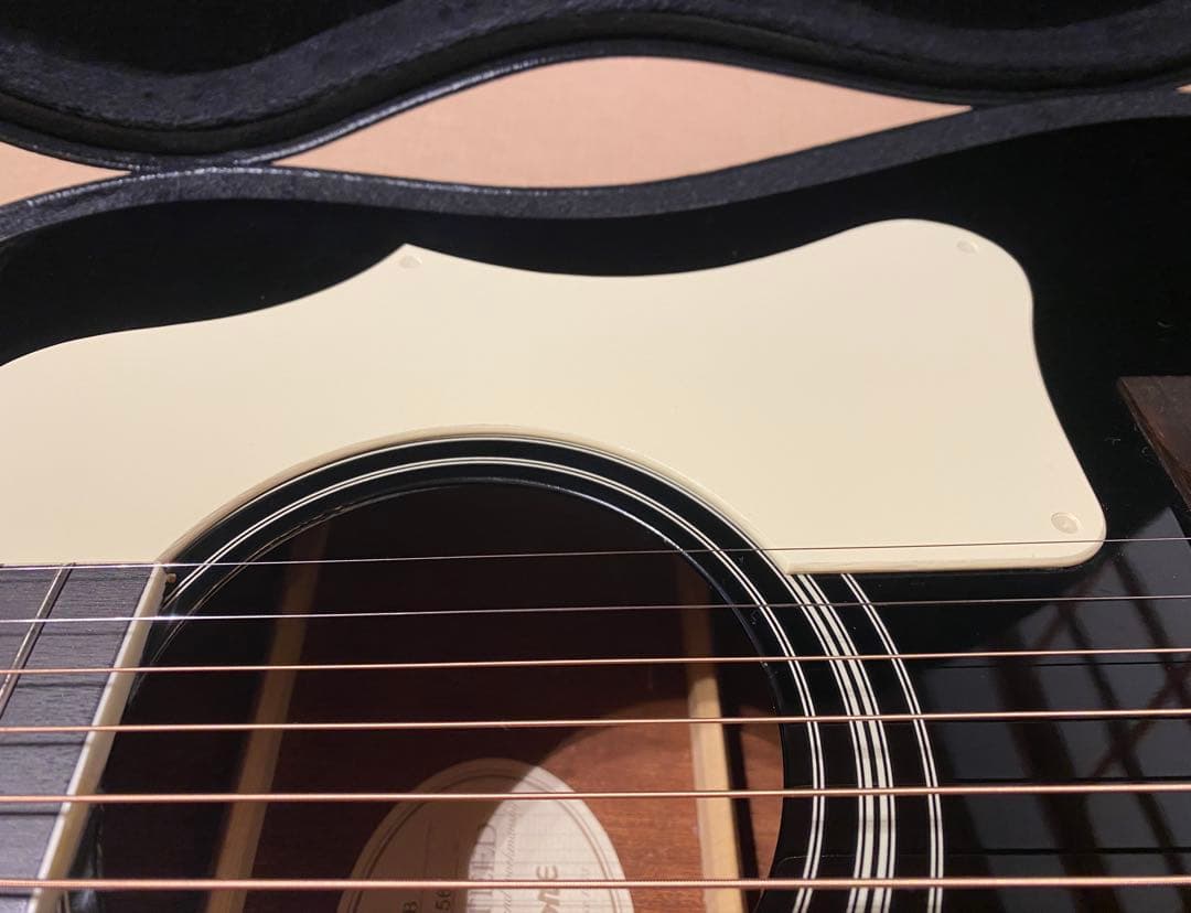 Epiphone DR-100 EB エボニー ハードケース付