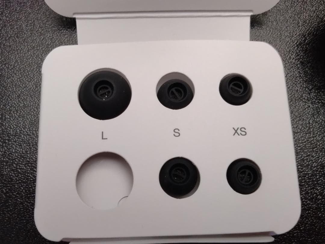 Fiio BT11とBowers & Wilkins b&w Pi8 ブラック