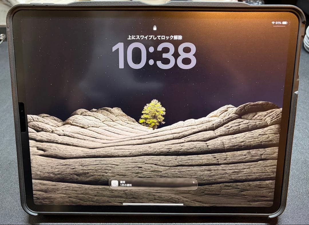 【値下げ】【美品】iPad Pro12.9インチWi-Fi 1TB 第4世代