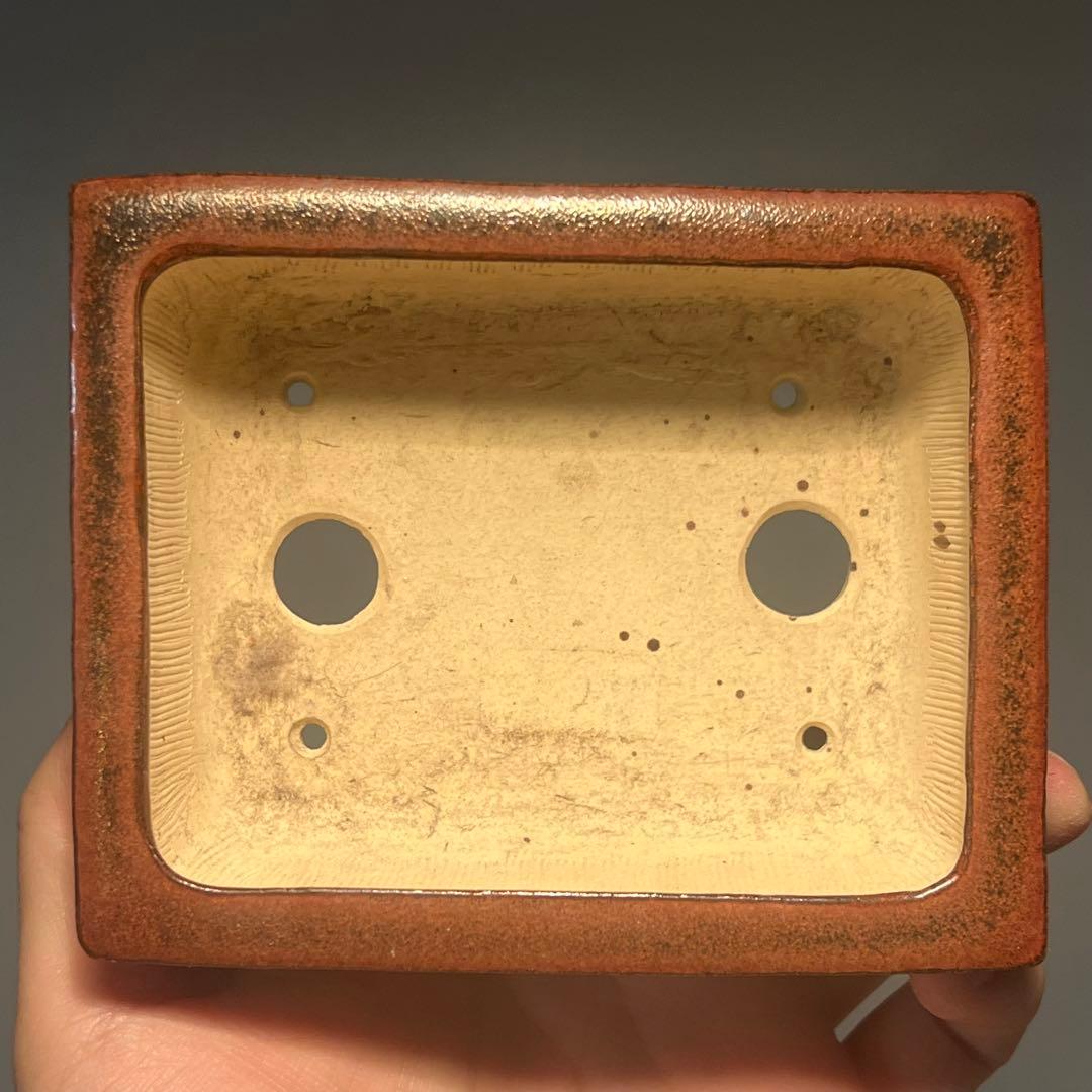 749.桂雲 鉄紅釉段足長方 盆栽鉢 植木鉢 11.5*9.3*4.5cm