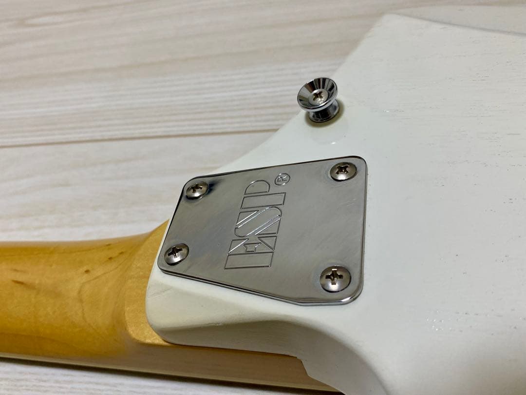 ESP edwards cygnus LEDAモデル　シグナス