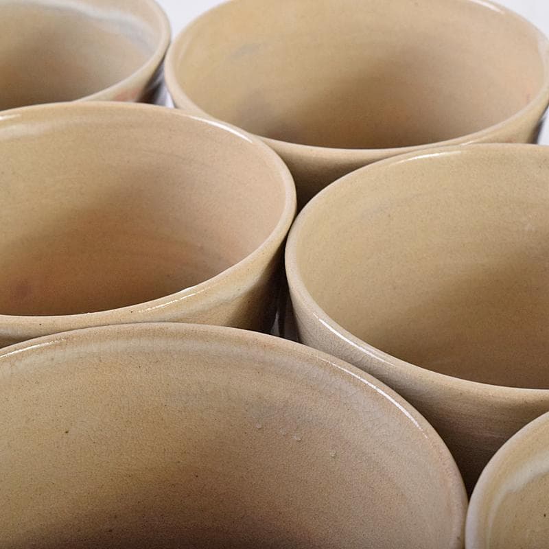 茶道具　赤膚焼　大塩正人造　御本立鶴　数茶碗　八客　共箱　V　R8550B