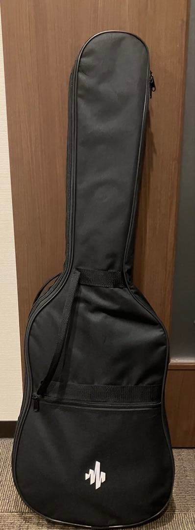 Donner エレキギター　初心者向け