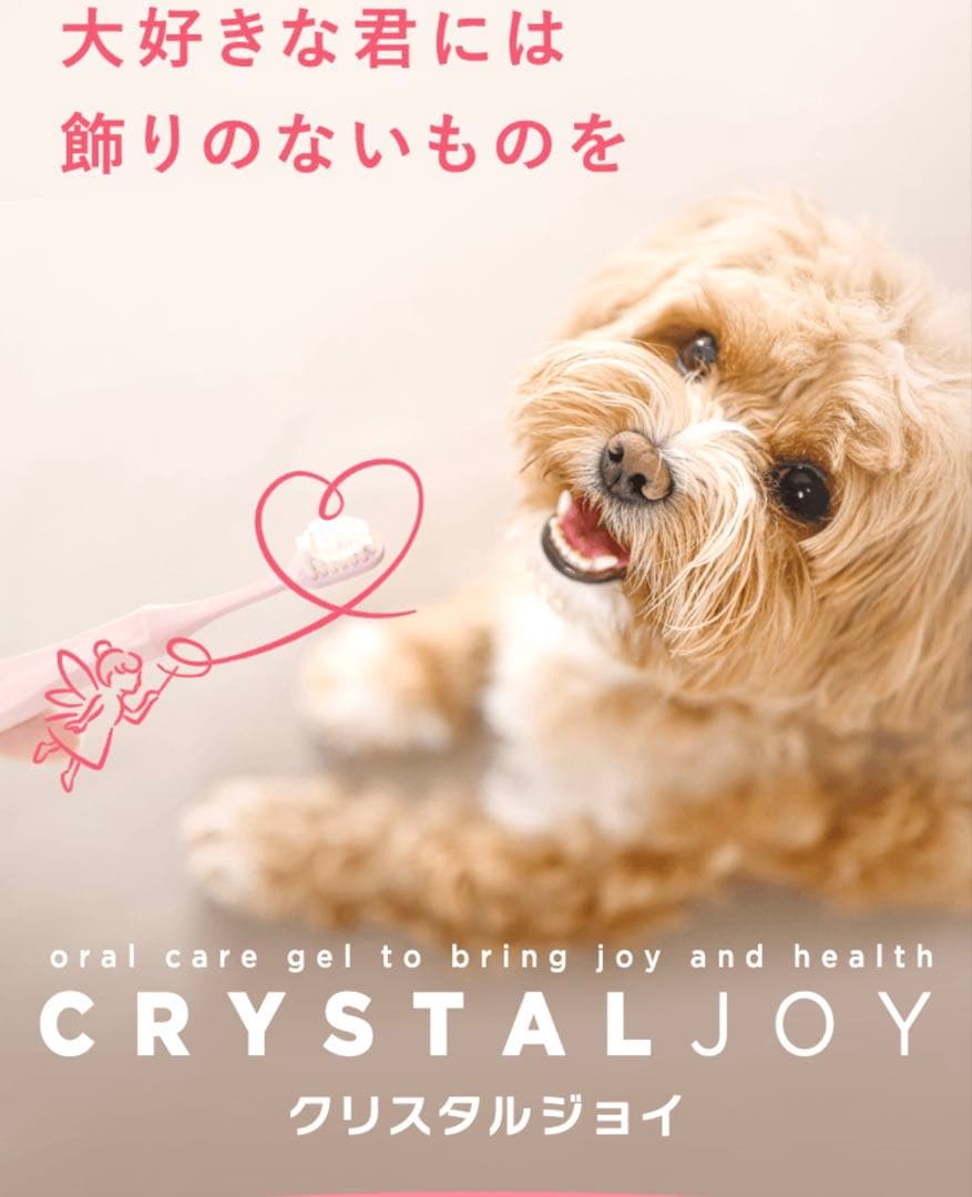 CRYSTAL JOY クリスタルジョイ　アニコム　12本　1箱