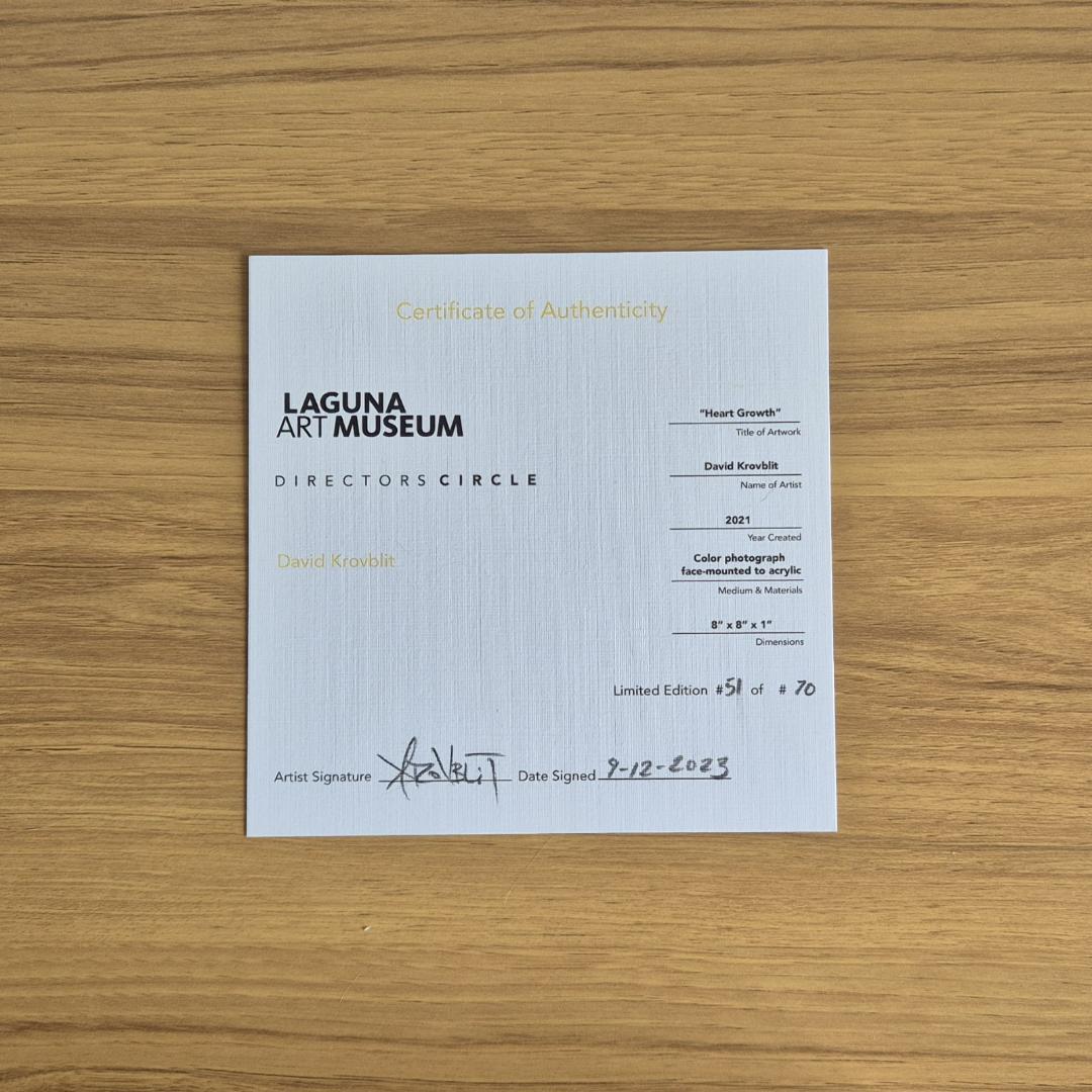 David Krovblit - Heart Growth 限定版 51/70