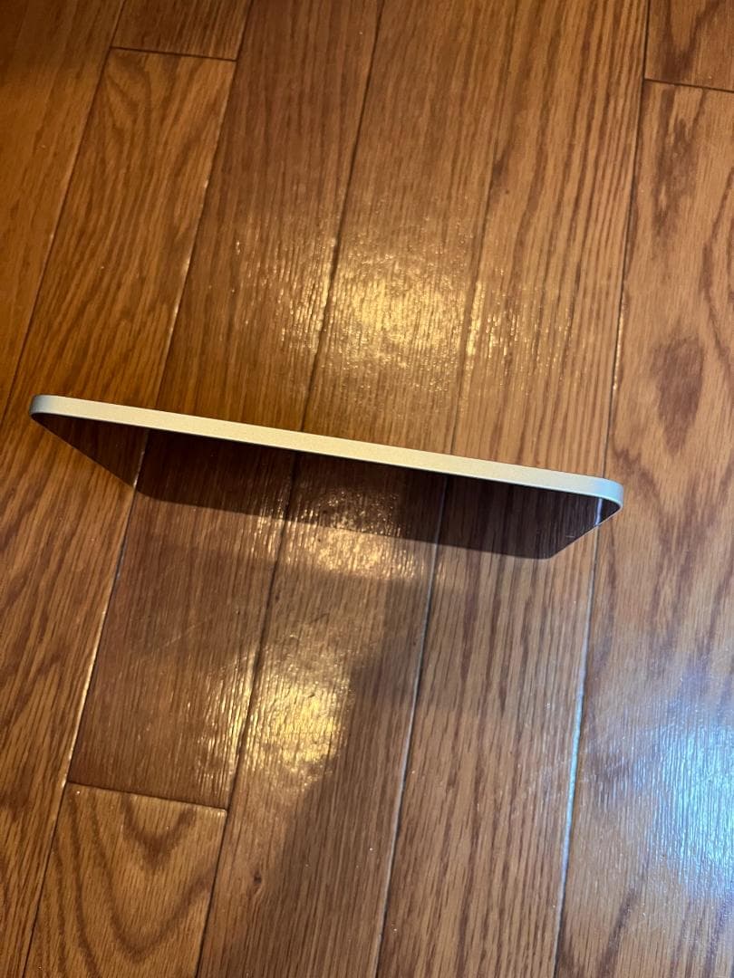 iPad mini6 256GB スターライト Apple Pencil付き