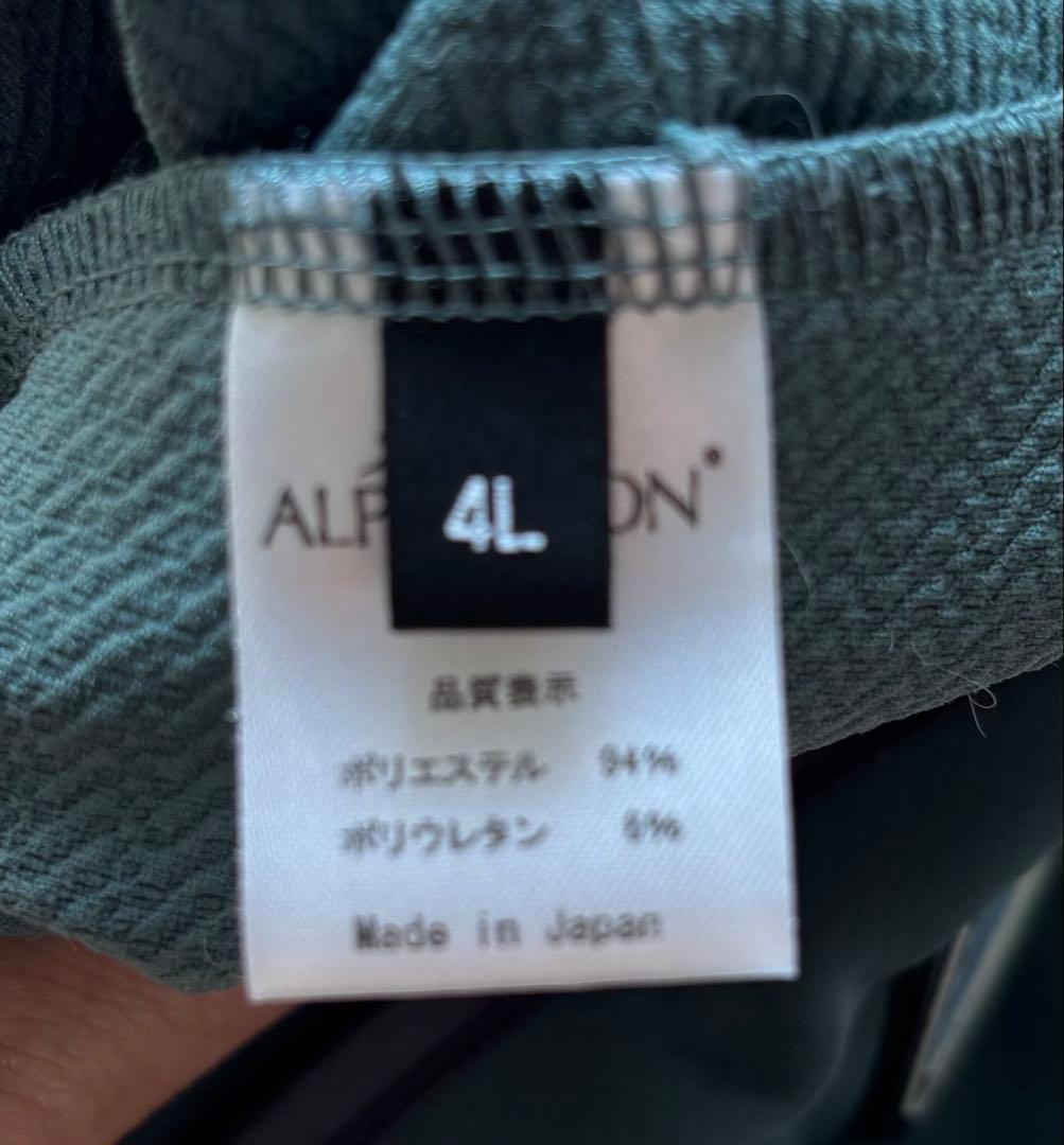 アルファアイコン　4L