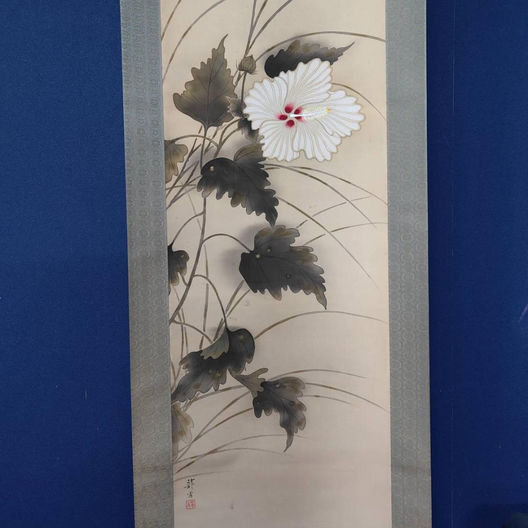真作/龍畝/白蓉花図/花/桐共箱付布袋屋掛軸A-397