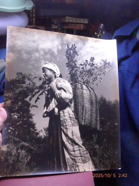 貴重な戦前の籐の籠を背負った女性の写真です。芸術写真です。露出等が完璧です。