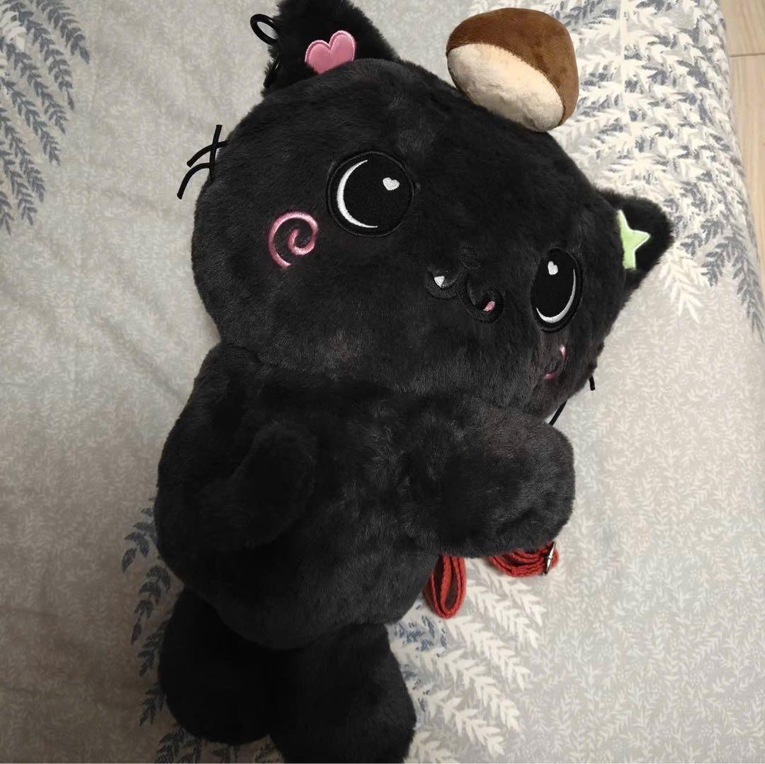 NCT WISH ソウルコン リク ぬいぐるみ キャラクターバッグ　トレカ付き