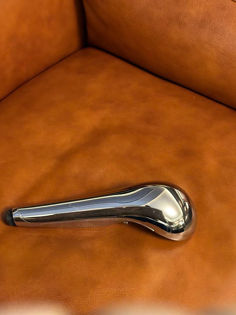 Rita シャワーヘッド 流線型デザイン