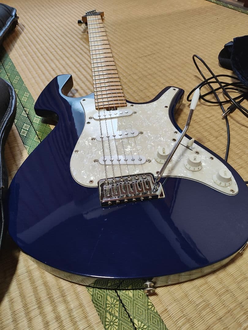 Parker ステンレスフレット化、ロックペグ化済