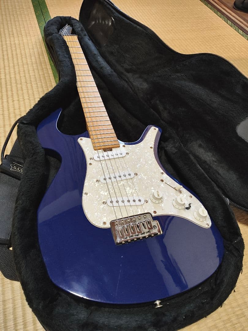 Parker ステンレスフレット化、ロックペグ化済