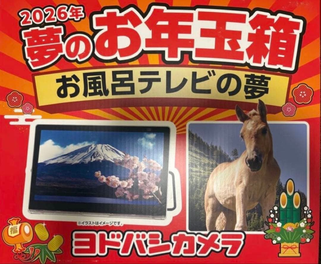 ヨドバシ お風呂テレビの夢 夢のお年玉箱
