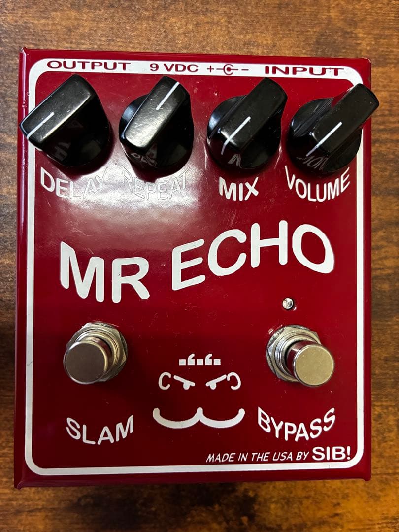 ギター SIB MR ECHO