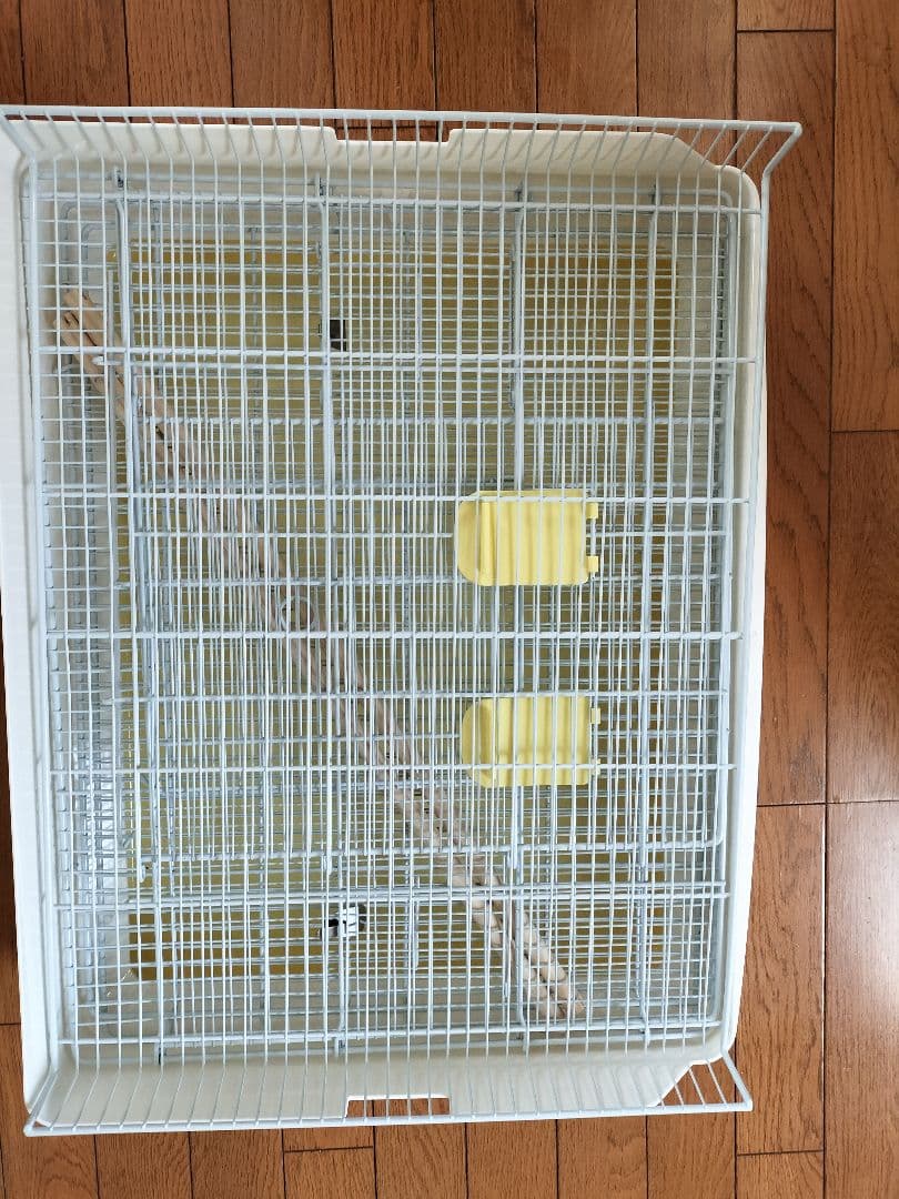 美品　イージーホームバード60 カバー付き