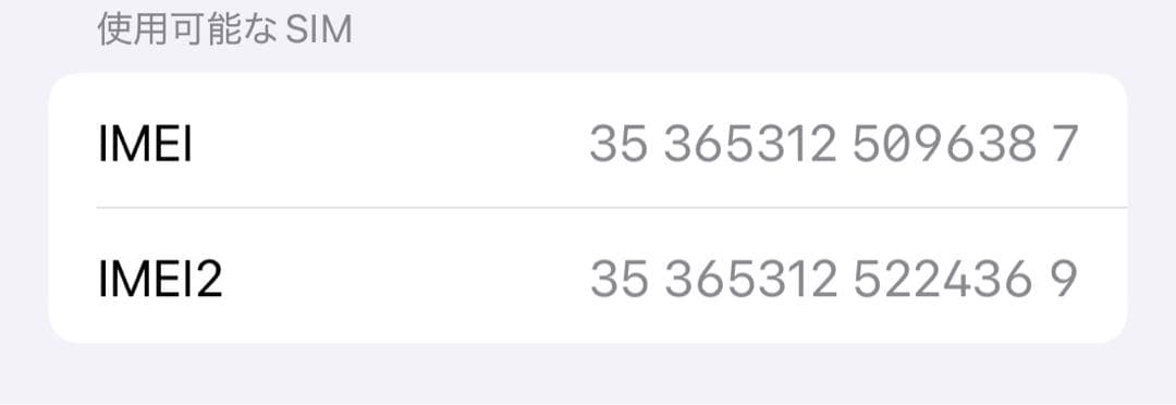 Apple iPhone 12 本体