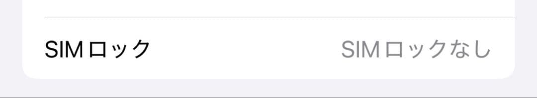 Apple iPhone 12 本体