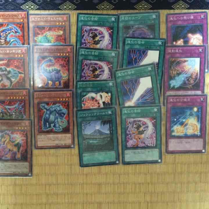 非公認大会優勝経験あり エヴォルガチデッキ