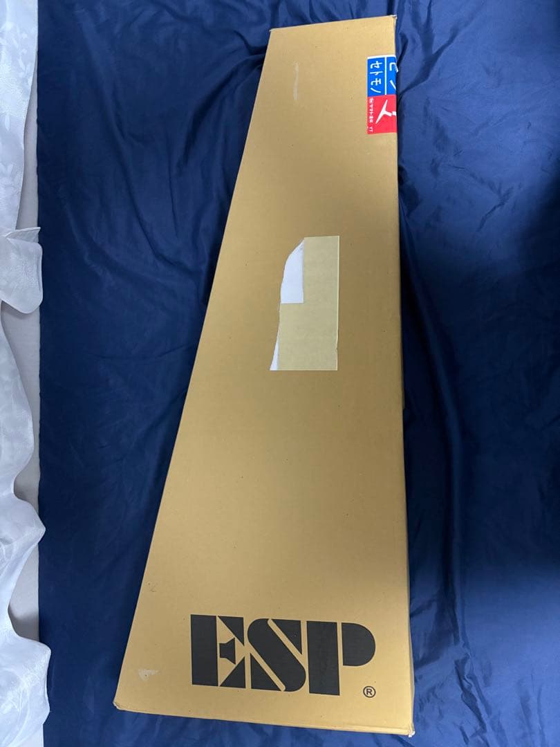 世界限定400本 Paul Smith×ESP MINI V GUITAR