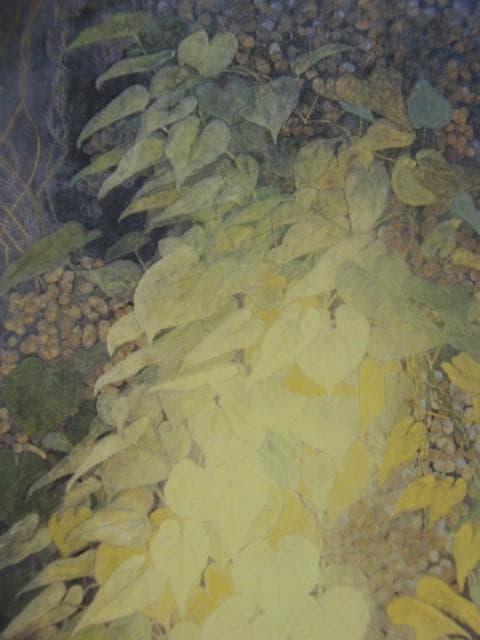 松本 高明 【森の華】 希少画集画、状態良好、新品高級額装付