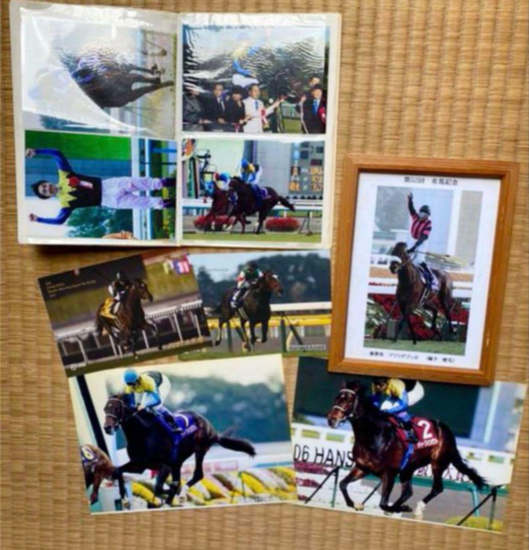 JRA 競馬 写真集