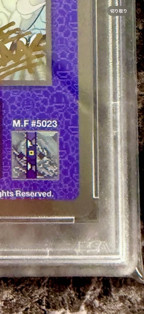 【直筆サイン入りPSA10】銀ふすま