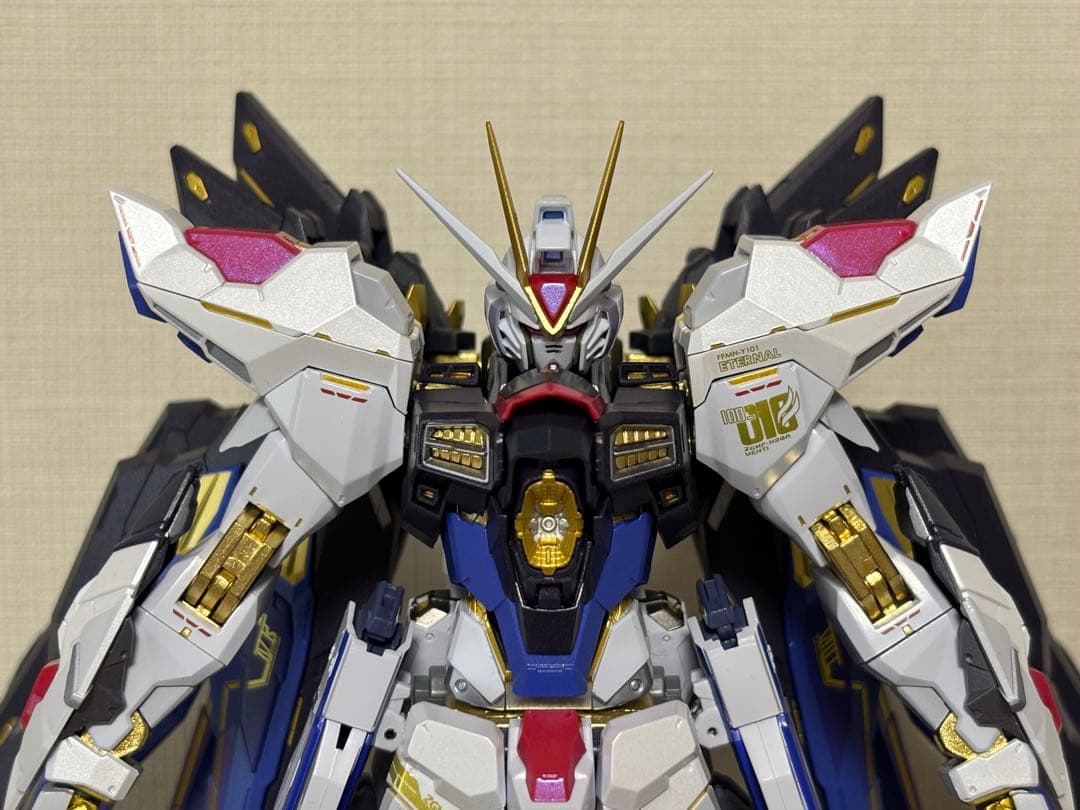 【即購入可・匿名配送】メタルビルド ストライクフリーダムガンダム2024