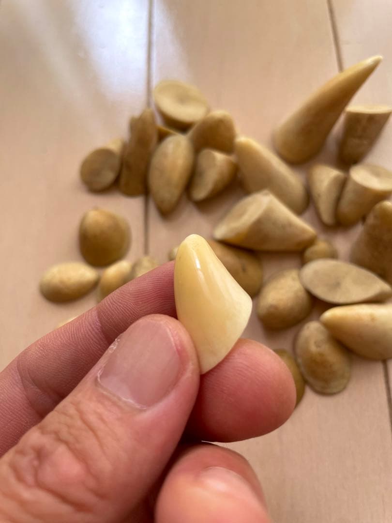 鯨歯　歯先のみ　マッコウ　根付け　ボーンカービング　イッカク　約114.76g