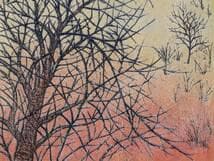 【真作】版画　技法不明　木のある風景　繊細な線描と色彩の調和　X50