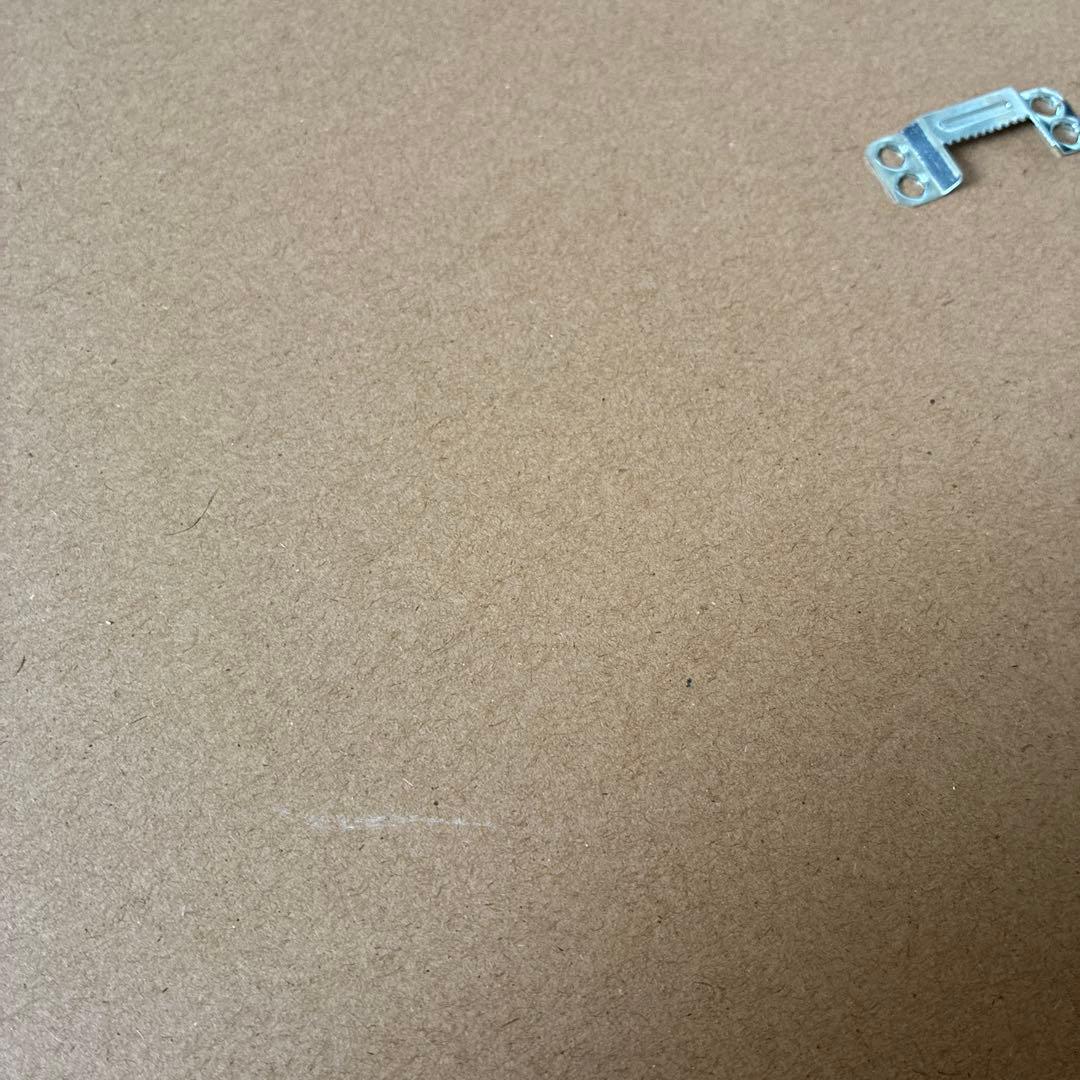 supreme ポスター【レディーガガ】