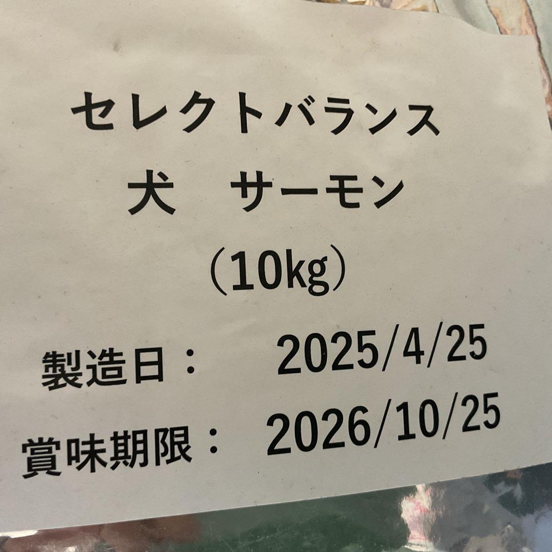 セレクトバランス　グレインフリーサーモン10kg